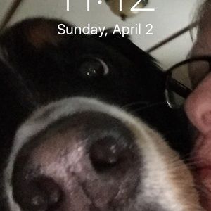 Meet your Posher, Donna